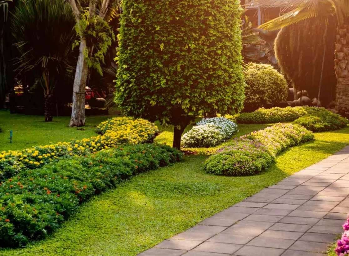 Garden Landscaping